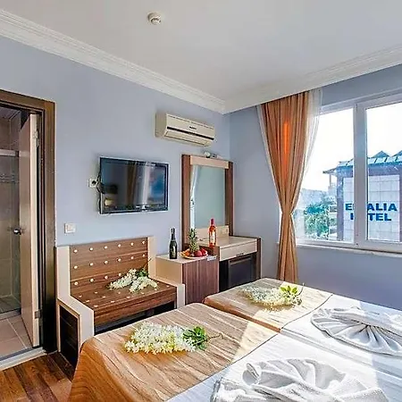 Sultan Keykubat Hotel